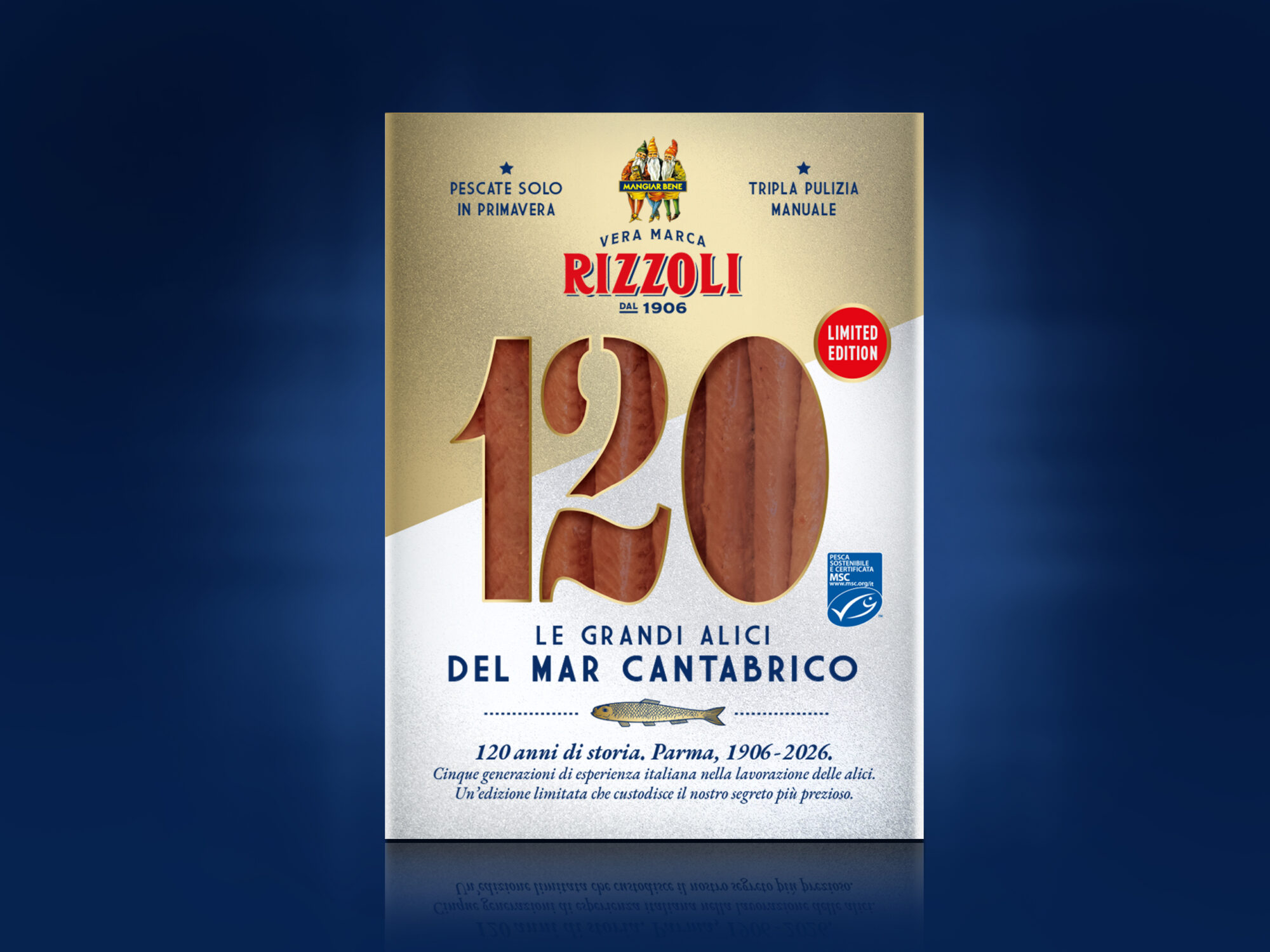 Alici Rizzoli mar Cantabrico